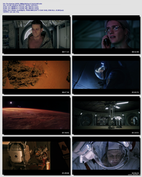 The.Martian.2015.1080p.BluRay.AC3.6ch.h2651ca785e95d2511f7.png