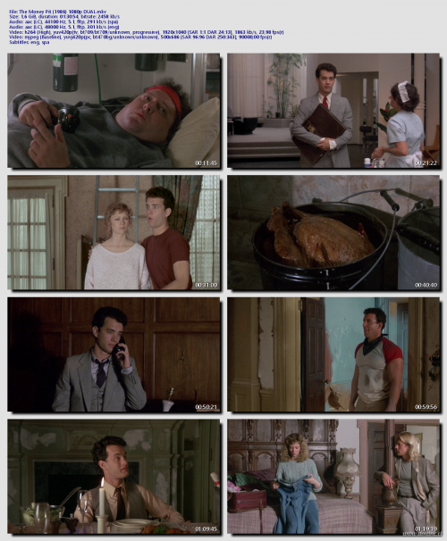 The-Money-Pit-1986-1080p-DUALa41ab0f3a33d981a.png