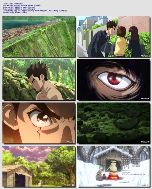 Dr.-Stone-S01E01e1f4211a37e1d5c1.png