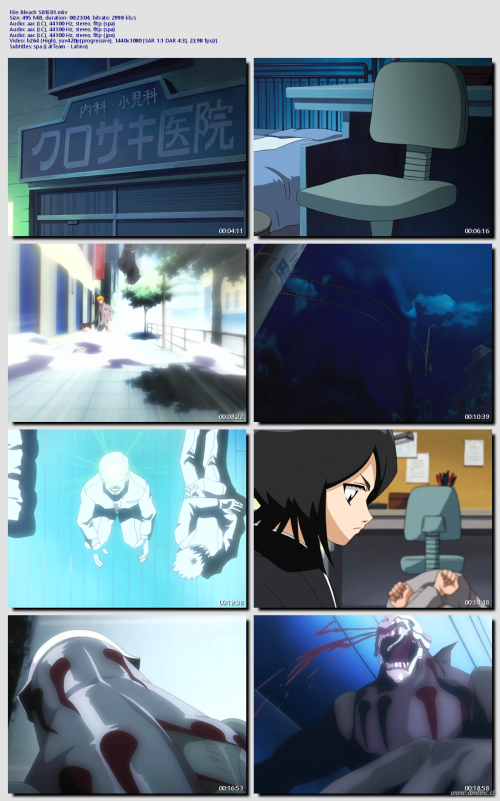 Bleach-S01E01ac442be1db95a2f7.png