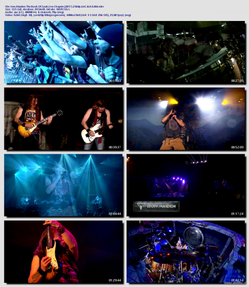Iron.Maiden.The.Book.Of.Souls.Live.Chapter.2017.2160p.AAC.6ch.h264d646fc8a9f3d4413.png