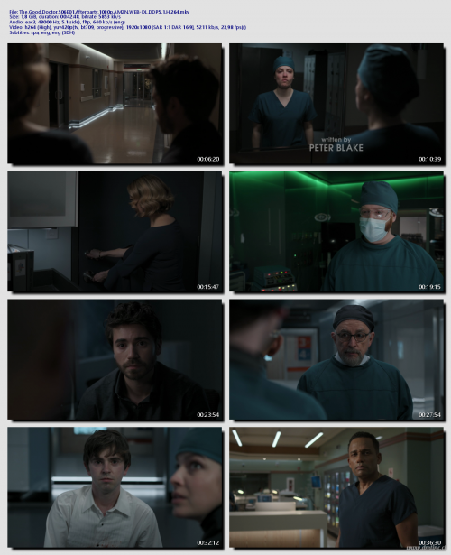 The.Good.Doctor.S06E01.Afterparty.1080p.AMZN.WEB-DL.DDP5.1.H.2646c54a415f93b42c2.png