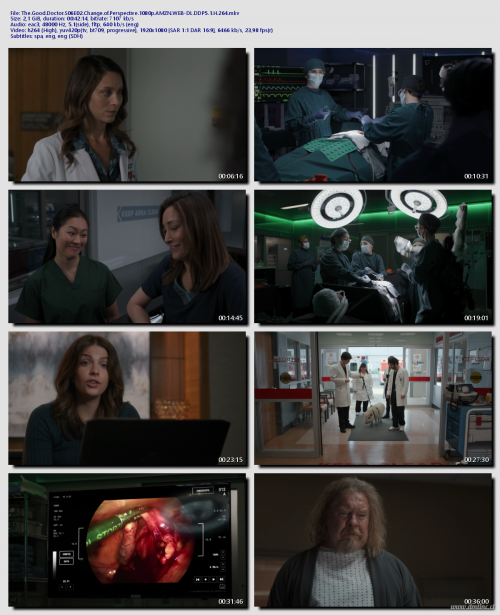 The.Good.Doctor.S06E02.Change.of.Perspective.1080p.AMZN.WEB-DL.DDP5.1.H.264483be3da2af943d7.png