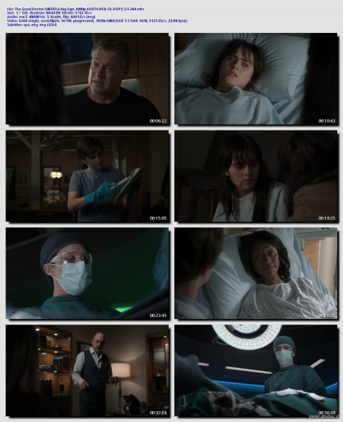 The.Good.Doctor.S06E03.A.Big.Sign.1080p.AMZN.WEB-DL.DDP5.1.H.264b31d3221e2a2a7a1.png