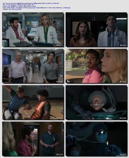 The.Good.Doctor.S06E06.Hot.and.Bothered.1080p.AMZN.WEB-DL.DDP5.1.H.264b8246b8c785a958f.png