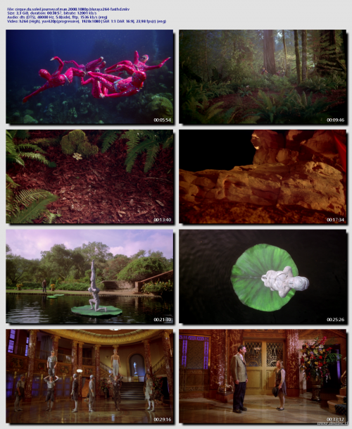 cirque.du.soleil.journey.of.man.2000.1080p.bluray.x264-fasthd946c66b9a98ba105.png