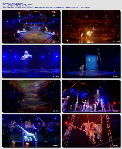 Cirque-Du-Soleil---Alegria9ae40c1bad7932f3.png