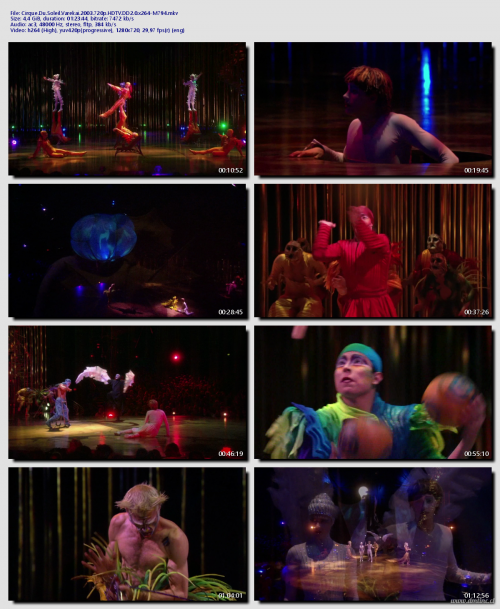 Cirque.Du.Soleil.Varekai.2003.720p.HDTV.DD2.0.x264-M7947cb4d337cea7897e.png