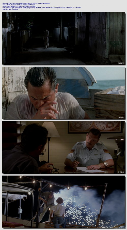 After.The.Storm.2001.1080p.AMZN.WEB-DL.DDP5.1.H.264-LatTeam270d9f25aa9e74a5.png