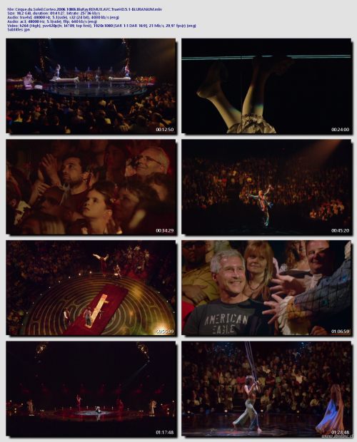 Cirque.du.Soleil.Corteo.2006.1080i.BluRay.REMUX.AVC.TrueHD.5.1-BLURANiUM9eba15f8ff9f9c0b.png
