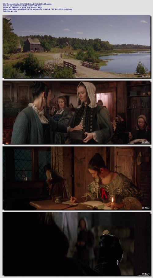 The.Scarlet.Letter.1995.720p.BluRay.DD5.1.x264-LatTeame167d054a4d78a94.png