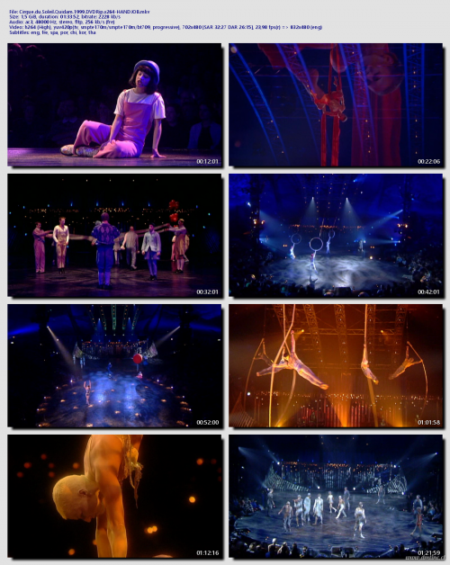 Cirque.du.Soleil.Quidam.1999.DVDRip.x264-HANDJOB4cce94a73d310009.png