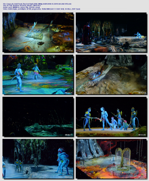 Cirque.du.Soleil.Toruk.The.First.Flight.2016.1080p.AMZN.WEB-DL.DDP2.0.H.264-NTGa5e004d38328fea1.png