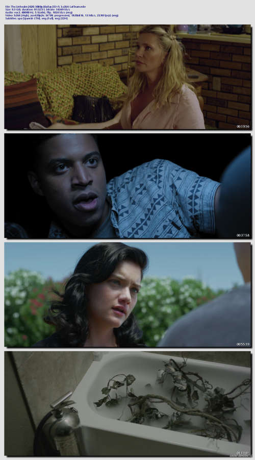 The.Unhealer.2020.1080p.BluRay.DD5.1.x264-LatTeam6ee08cd6420acb14.png
