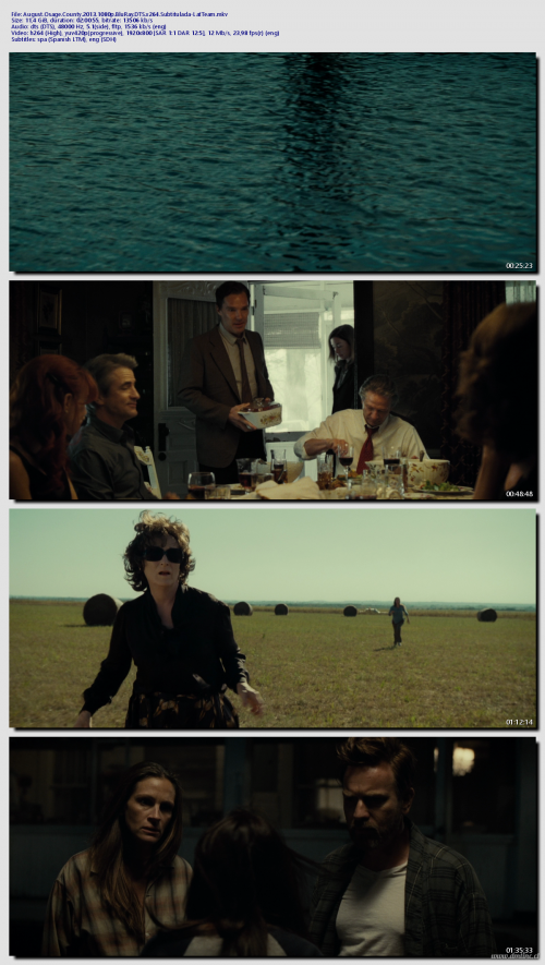 August.Osage.County.2013.1080p.BluRay.DTS.x264.Subtitulada-LatTeam8dd8d2866757b0d4.png