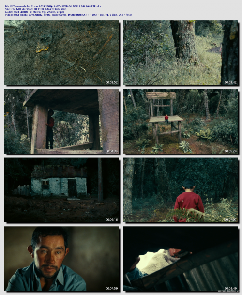El-Tamano-de-las-Cosas-2019-1080p-AMZN-WEB-DL-DDP-2.0-H.264-PTP1467715b1bde0775.png