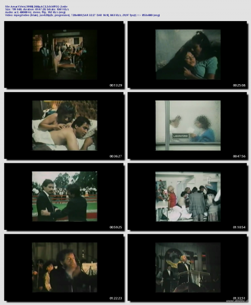 Amar.Y.Vivir.1990.360p.AC3.2ch.MPEG-2f519bdbda1b00fad.png