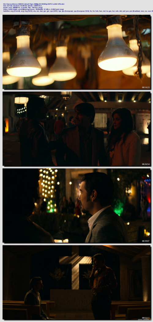 Narcos.Mexico.S02E01.Salva.El.Tigre.1080p.NF.WEBRip.DDP5.1.x264-NTb1f2f8c662496c00e.png