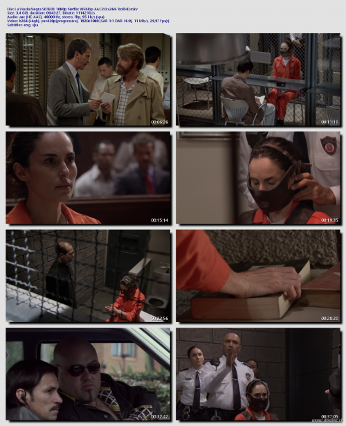 La-Viuda-Negra-S01E01-1080p-Netflix-WEBRip-AAC2.0-x264-TrollHD2b7b4ff023f79c8f.png