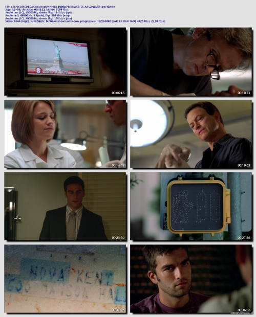 CSI.NY.S04E01.Can.You.Hear.Me.Now.1080p.PMTP.WEB-DL.AAC2.0.x264-byx10280b9de570b15d88.png