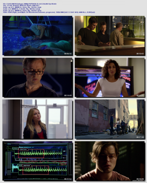 CSI.NY.S06E01.Epilogue.1080p.PMTP.WEB-DL.AAC2.0.x264-byx1018ae96ae9b0794fb.png