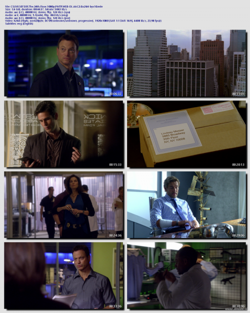 CSI.NY.S07E01.The.34th.Floor.1080p.PMTP.WEB-DL.AAC2.0.x264-byx10cbe0131d0a11ea7e.png