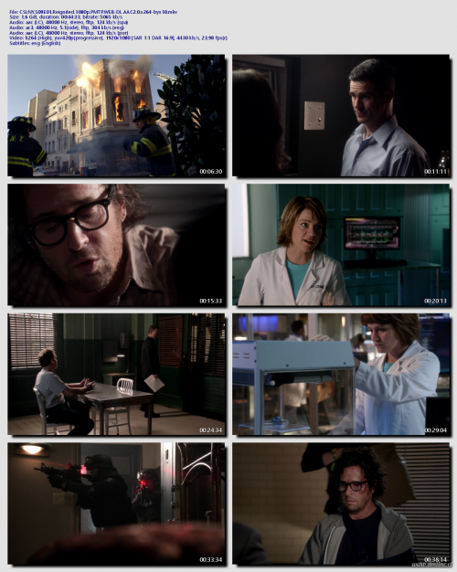 CSI.NY.S09E01.Reignited.1080p.PMTP.WEB-DL.AAC2.0.x264-byx10c8f9fac694e747c6.png