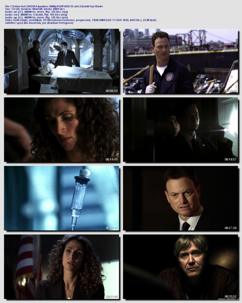 CSI.New.York.S01E01.Parpadeos.1080p.PMTP.WEB-DL.AAC2.0.x264-byx10c87c3ec81103747c.png