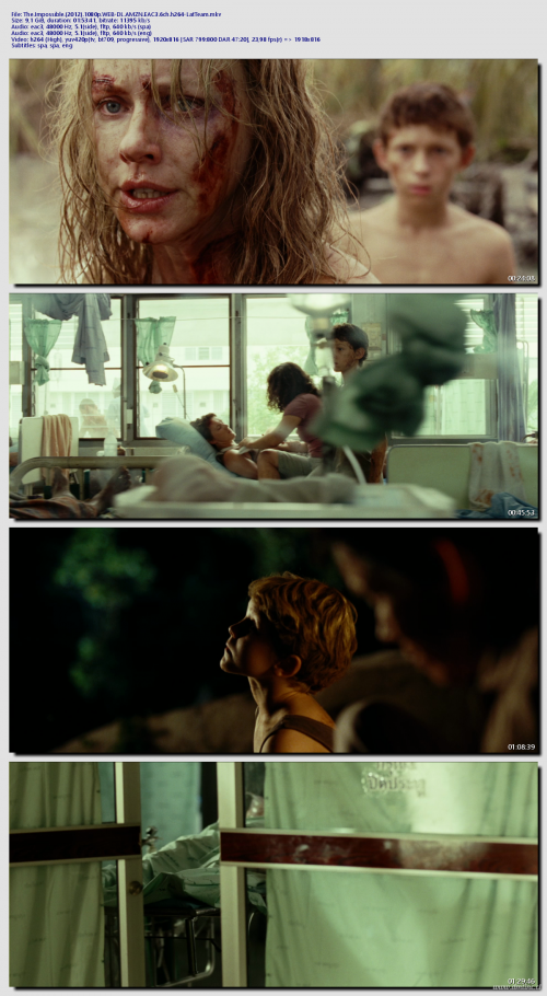 The.Impossible.2012.1080p.WEB-DL.AMZN.EAC3.6ch.h264-LatTeame568dc8ce01c27d6.png
