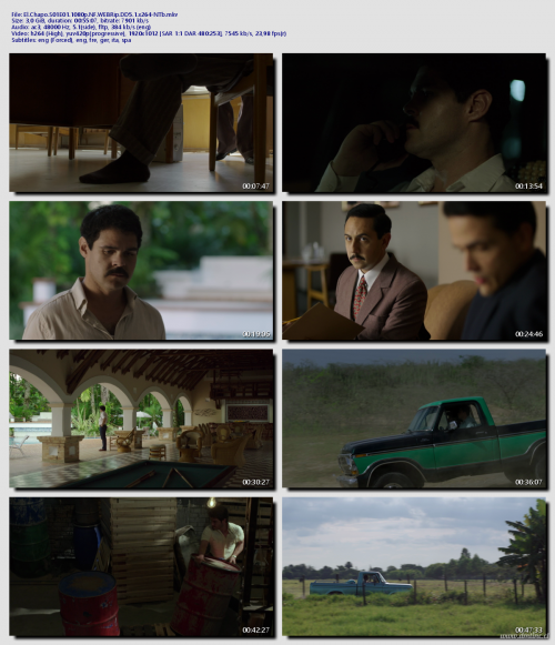 El.Chapo.S01E01.1080p.NF.WEBRip.DD5.1.x264-NTbe9bd6ac740e95128.png