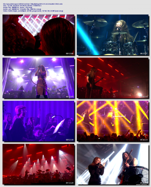 Epica.Retrospect.2013.First.Part.720p.BluRay.DD5.1.FLAC2.0.x264-CRiSC047022a857597d7b.png