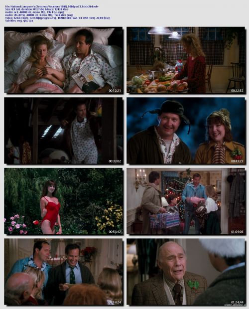 National.Lampoons.Christmas.Vacation.1989.1080p.AC3.1ch.h26474878edc0ec50437.png