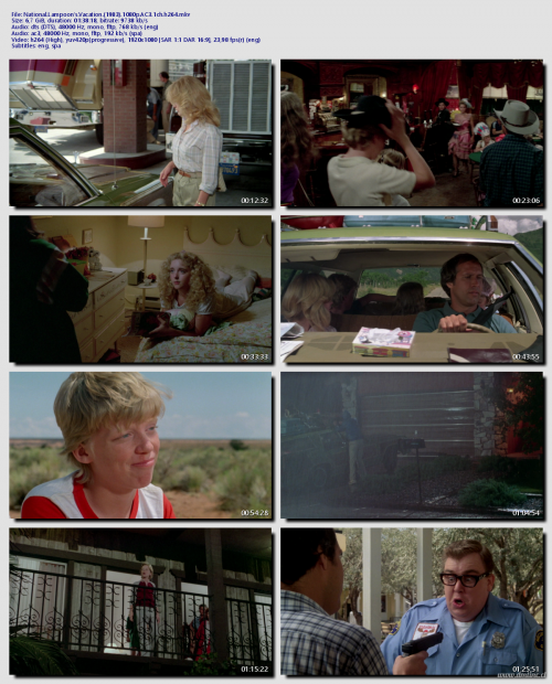 National.Lampoons.Vacation.1983.1080p.AC3.1ch.h264d0ad69d69ac3000b.png