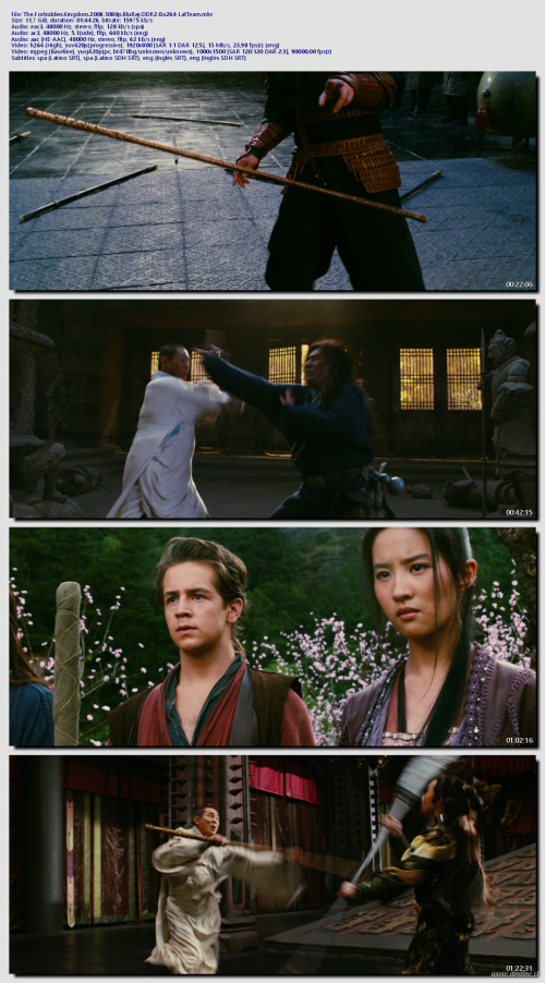 The.Forbidden.Kingdom.2008.1080p.BluRay.DDP.2.0.x264-LatTeam07f074faf6b49a69.png