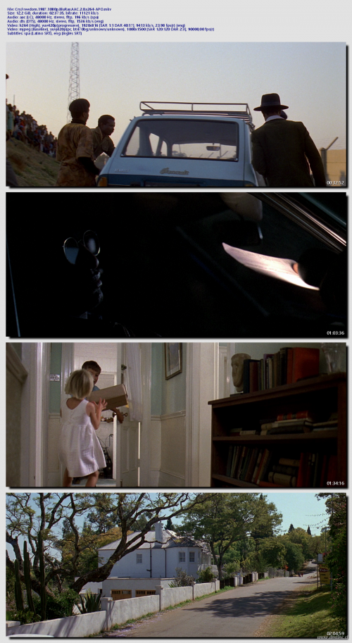 Cry.Freedom.1987.1080p.BluRay.AAC.2.0.x264-APO5538f74b2b23de5c.png