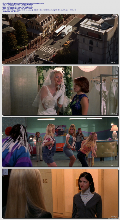 Legally.Blonde.2001.1080p.WEB-DL.EAC3.2ch.h264-LatTeam29dc91f19d4b9b83.png