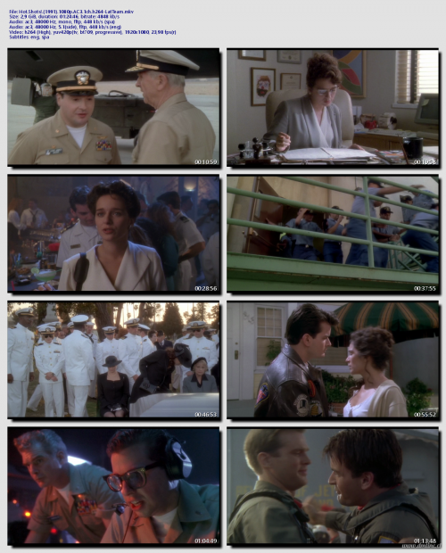 Hot.Shots.1991.1080p.AC3.1ch.h264-LatTeam0253bfa479a3172d.png