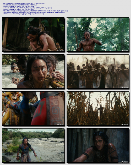 Apocalypto.2006.1080p.BluRay.REMUX.AVC.DD.2.0-APO5a0d167d742fd7cf.png