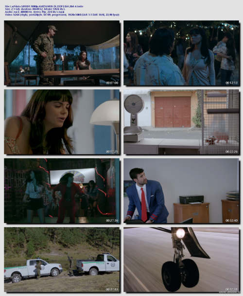 La.Piloto.S01E01.1080p.AMZN.WEB-DL.DDP2.0.H.264-AJ5bd5c80d18fd0049.png