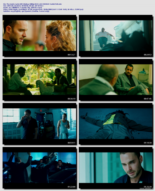 The.Snitch.Cartel.2011.BluRay.1080p.DD.5.1.AVC.REMUX-FraMeSToR549a1c6ef92edb79.png