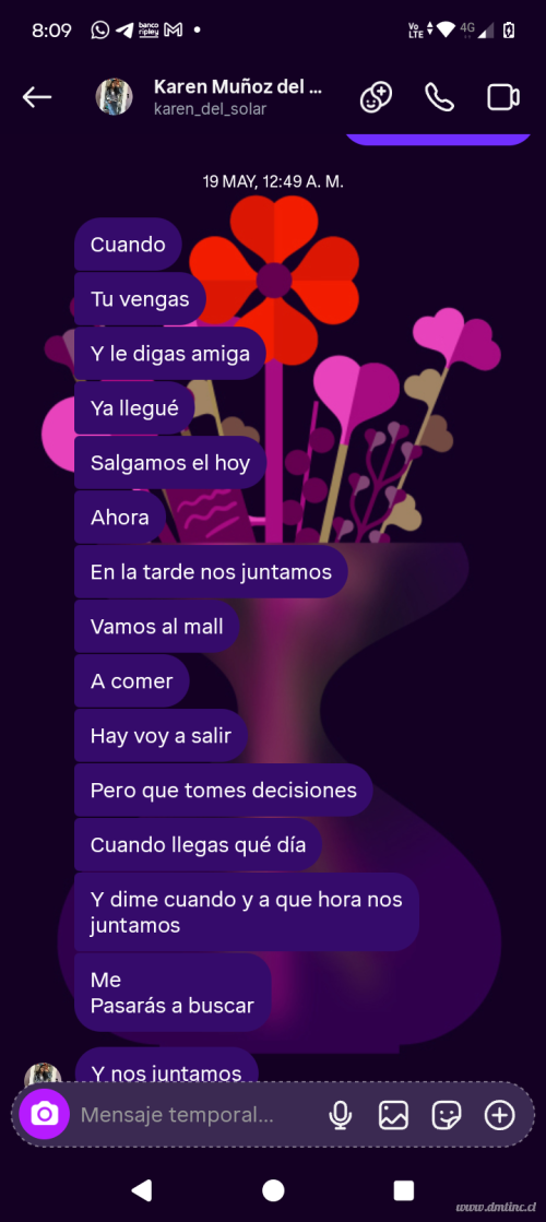 10004805571c0a88767713109b.png