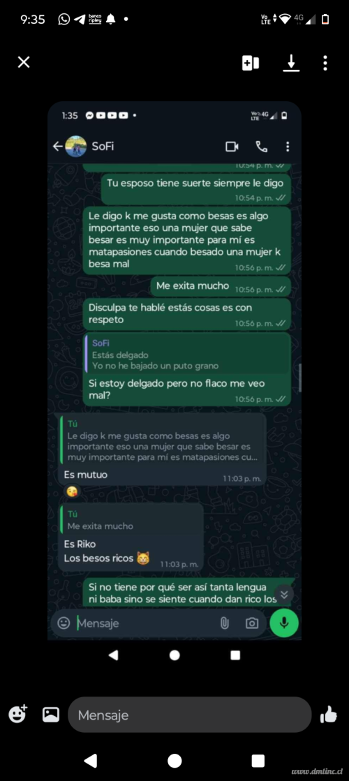 10004806462ff302e3d1faf183.png